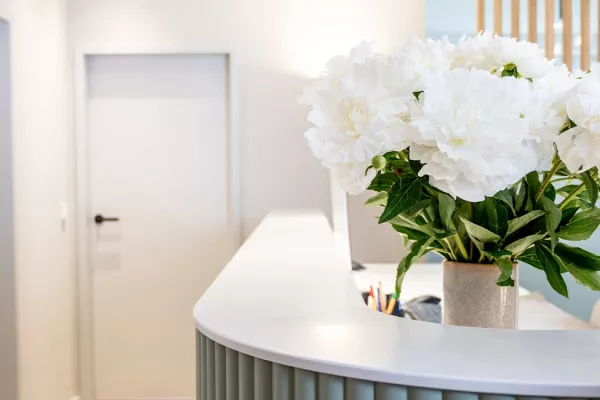 Blumen am Empfang in der Zahnarztpraxis zh37 in Hildesheim